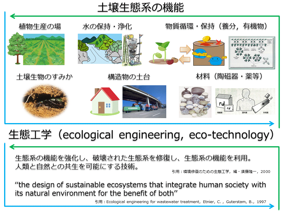Soil Ecology and Ecotechnology