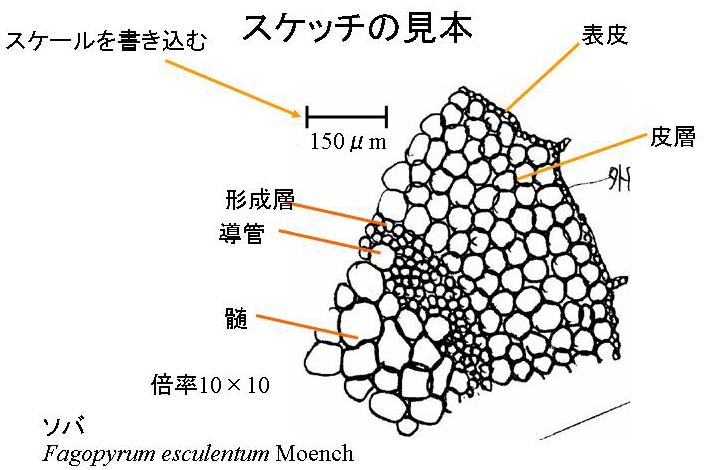 理科ハウス/理科ハウス日記