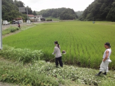 草刈り体験.JPG