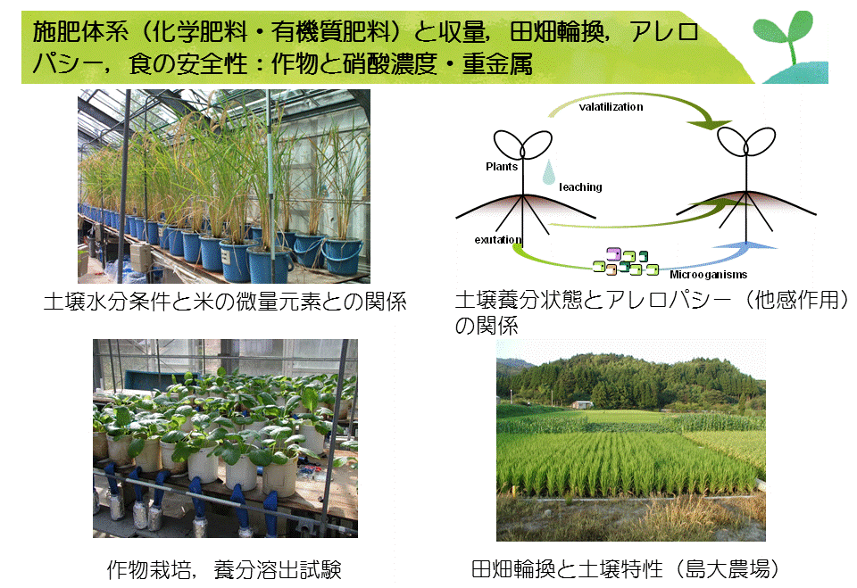 Agricaultural Production and Soil Environment