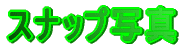 Xibvʐ^