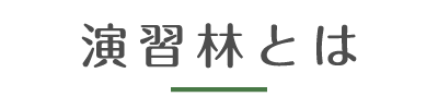 演習林とは