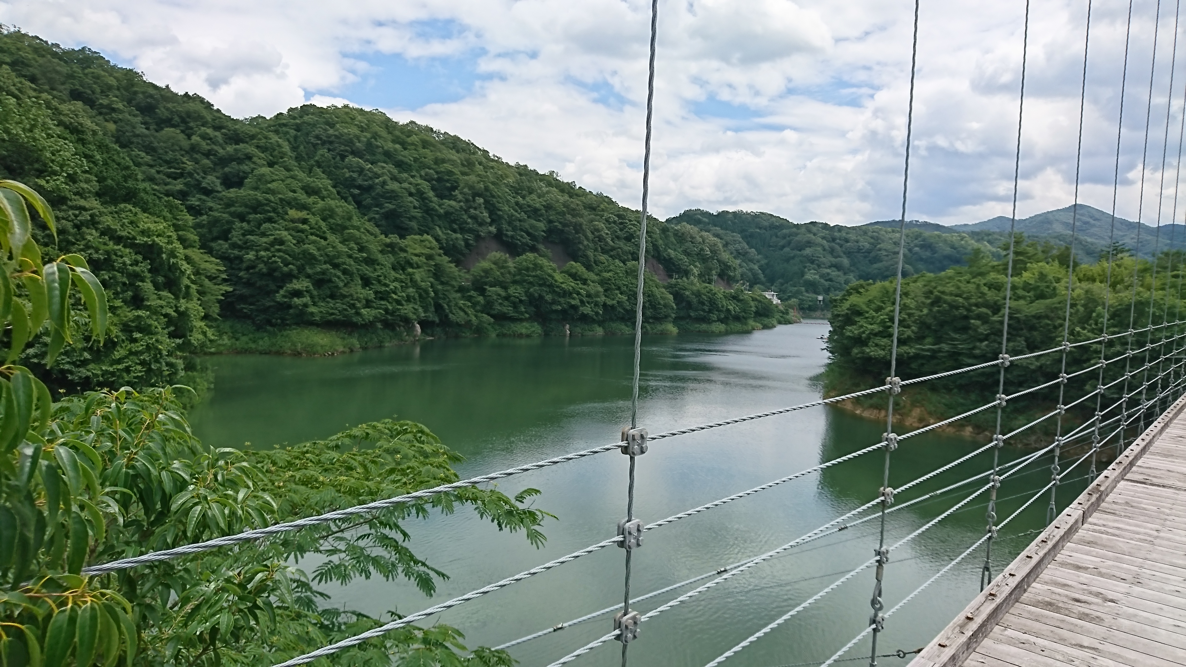 DSC_1872.JPG