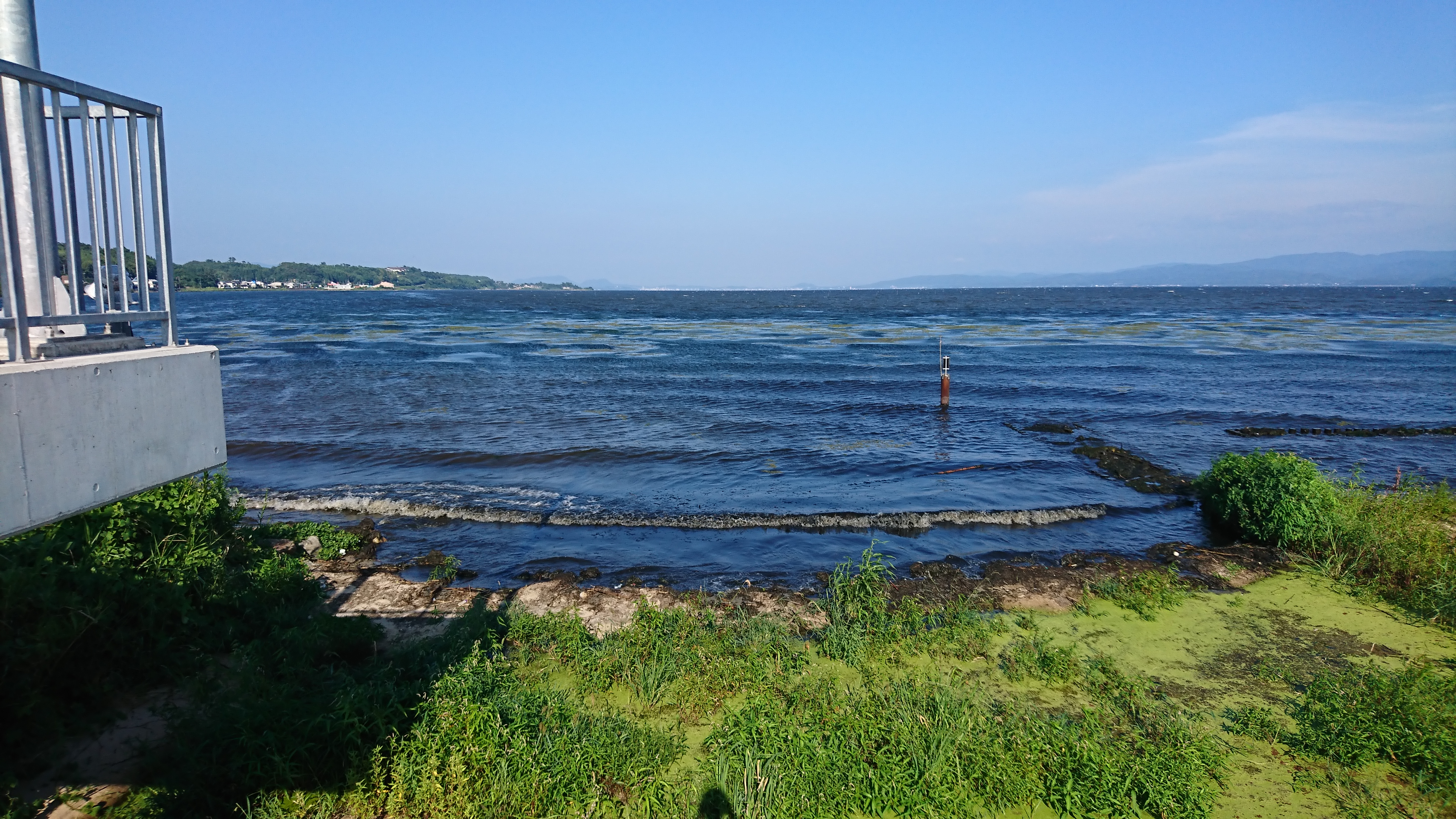 DSC_1949.JPG