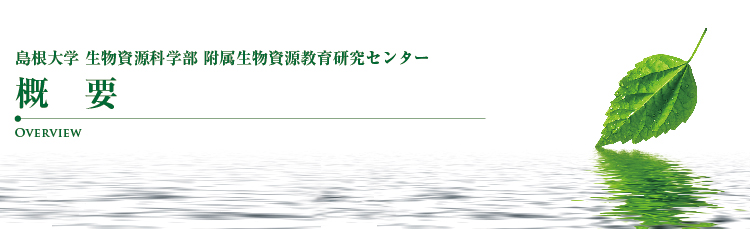 概要