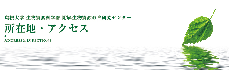所在地・アクセス
