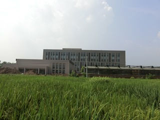 Summer experiment in Yangzhe University, China