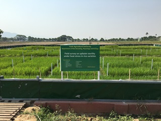 Dry season experiment in Myanmar