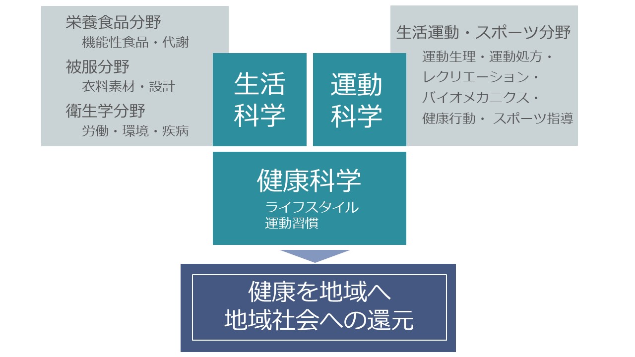 コースで学べる分野