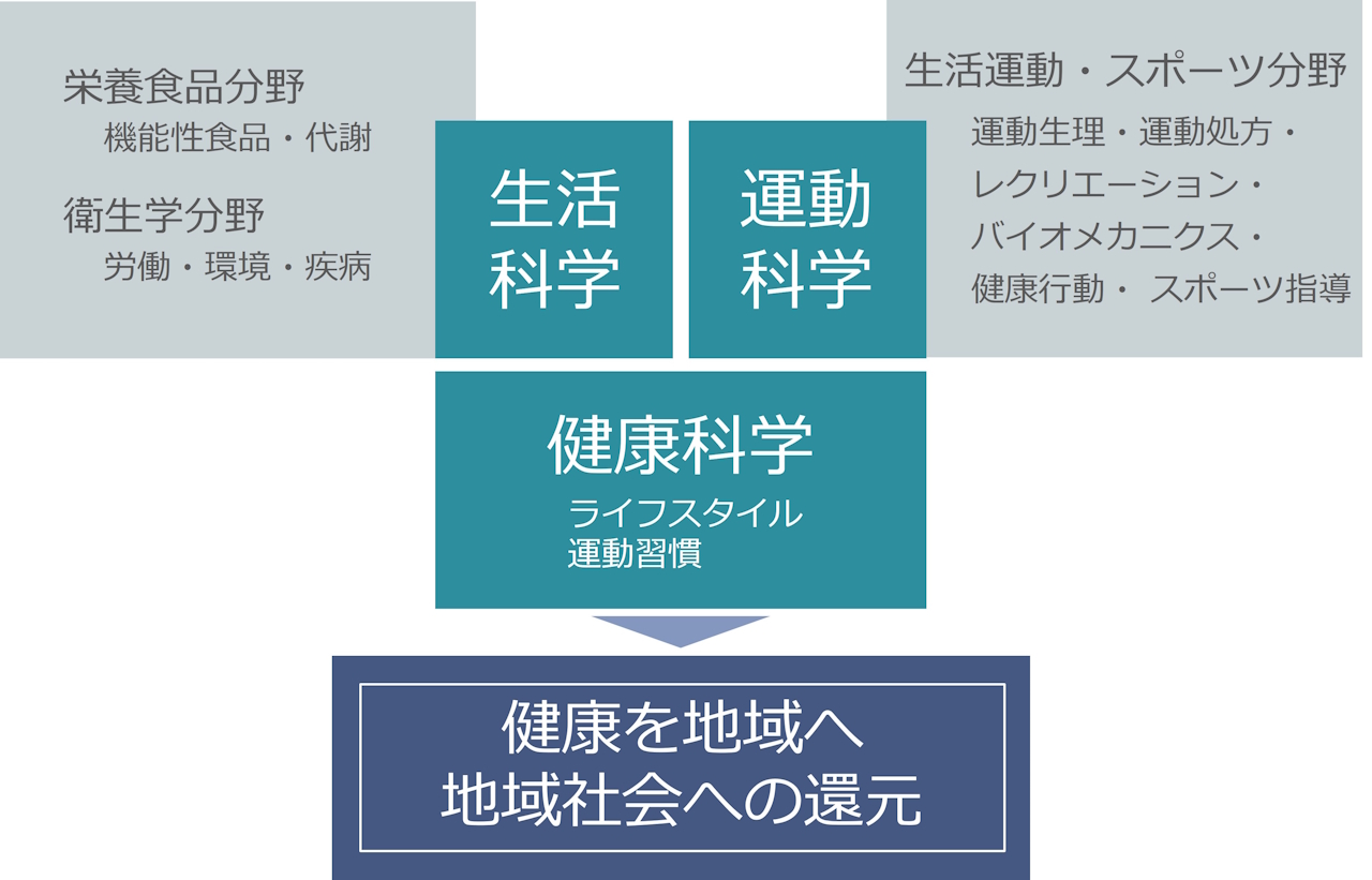 コースで学べる分野