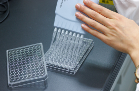 成分分析の様子 1