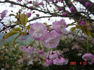 {_ugʋсviH19.4.23)ʐ^