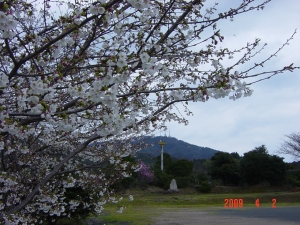 {_Dgʐ^(H21.4.2)