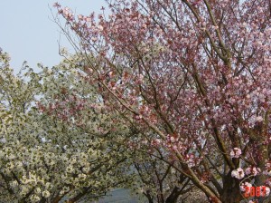 {_gghiH19.4.12)ʐ^