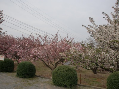 i팩{ʐ^