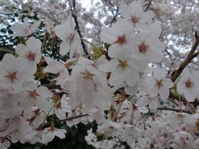 gʐ^(H22.4.7)