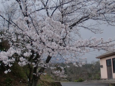 gʐ^(H23.4.11)