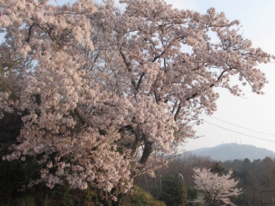 gʐ^(H26.4.9)