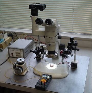 Optical microscope