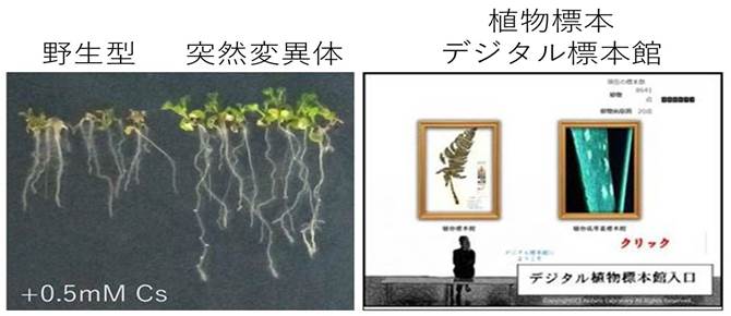 eLXg ܂܂Ă摜

AI ɂĐꂽRec͊ԈĂ\܂B