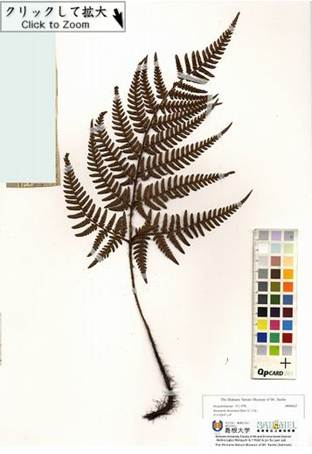 CropperCapture[195]