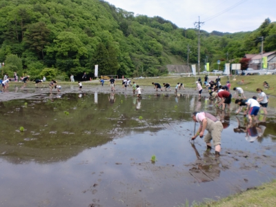 田植えイベントの様子.JPG