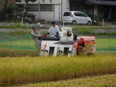 獅子地区秋コンバイン.JPG