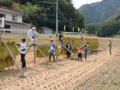 17稲刈２.JPG