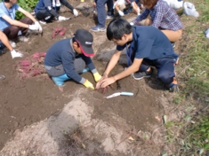 17稲刈４.JPG