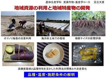 足立文彦 - 資源作物・畜産学コース - 資源作物 ・ 畜産学コース