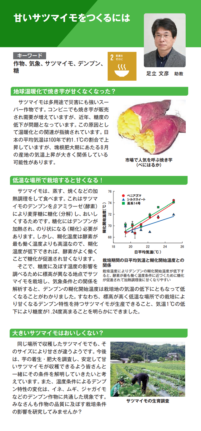 足立文彦 - 資源作物・畜産学コース - 資源作物 ・ 畜産学コース