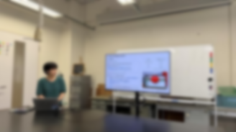 発表の様子