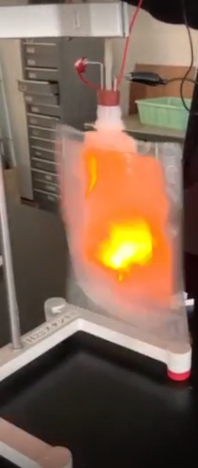 実験の様子