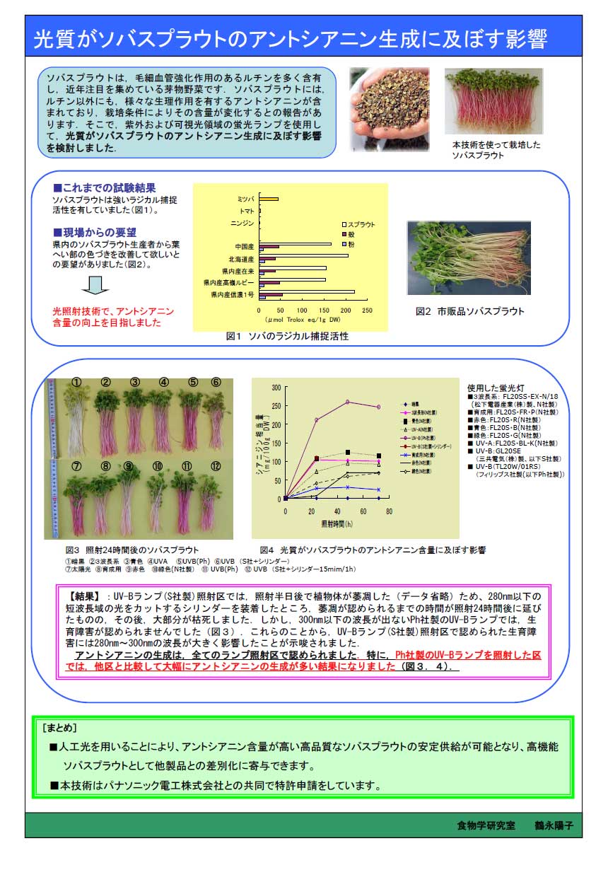 光照射実験の様子
